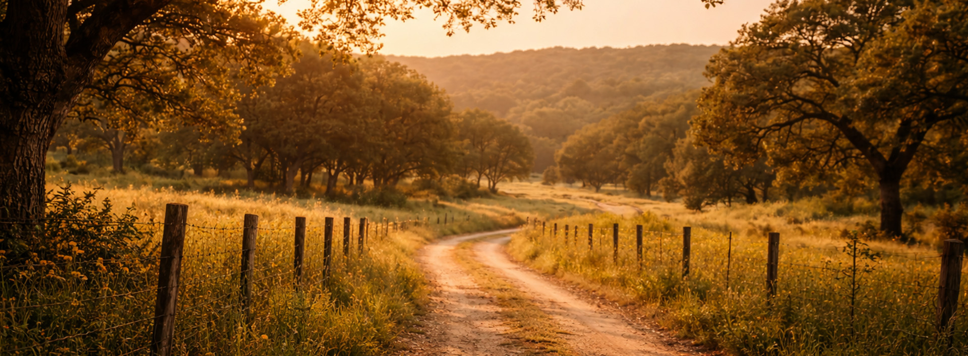 hill-counttry-texas-website-design